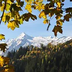 Gospodarstwo agroturystyczne Bio-bergbauernhof Hubgut Zell am See