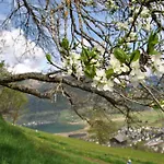 Hubgut