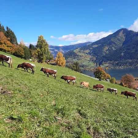 Bio-bergbauernhof Hubgut ファームステイ