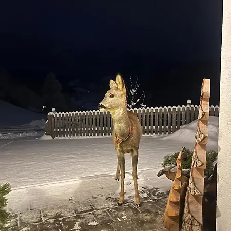Bio-bergbauernhof Hubgut Séjour à la ferme