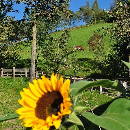 Bio-bergbauernhof Hubgut Séjour à la ferme *