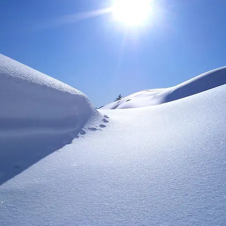 Bio-bergbauernhof Hubgut * Zell am See