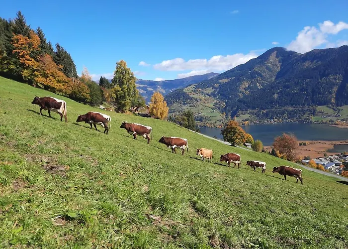 Bio-bergbauernhof Hubgut ファームステイ