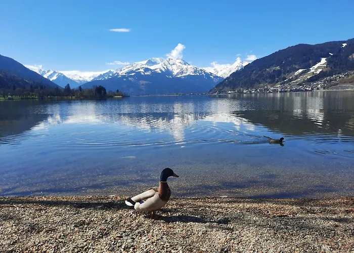 Bio-bergbauernhof Hubgut *