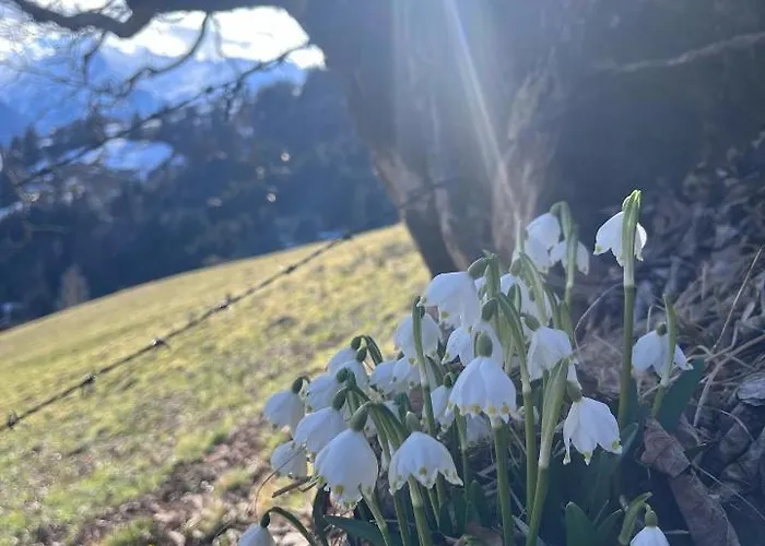 Bio-bergbauernhof Hubgut * ツェル アム ゼー