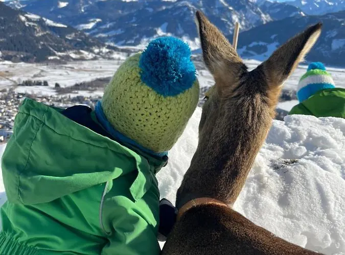 Bio-bergbauernhof Hubgut