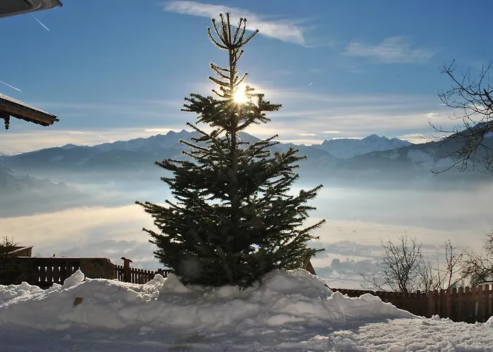 Bio-bergbauernhof Hubgut Zell am See