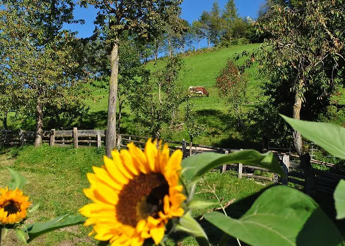 Bio-bergbauernhof Hubgut Bauernhof *