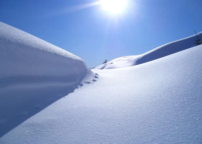 Bio-bergbauernhof Hubgut * ツェル アム ゼー
