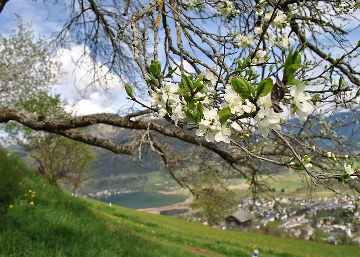 Bio-bergbauernhof Hubgut