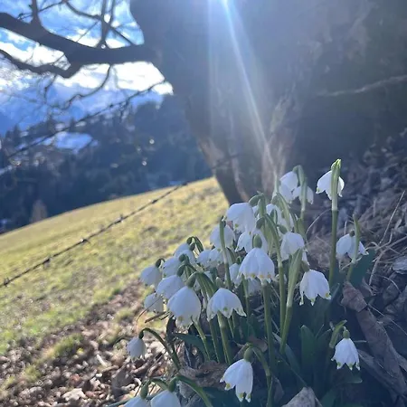 Bio-bergbauernhof Hubgut * زيل أم سي