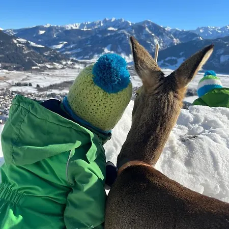 Bio-bergbauernhof Hubgut