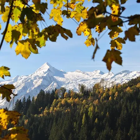 Feriegård Bio-bergbauernhof Hubgut Zell am See