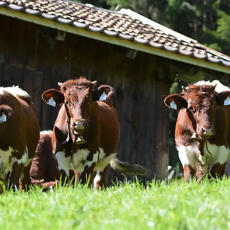 Bio-bergbauernhof Hubgut Feriegård