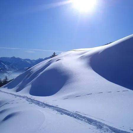 Bio-bergbauernhof Hubgut زيل أم سي