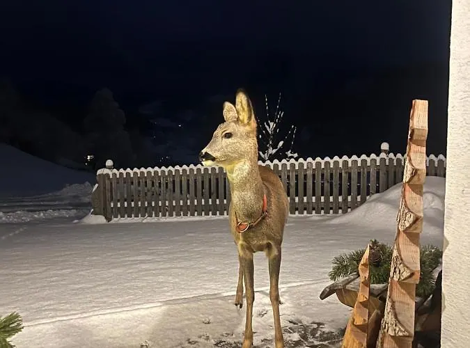 Bio-bergbauernhof Hubgut 农家乐