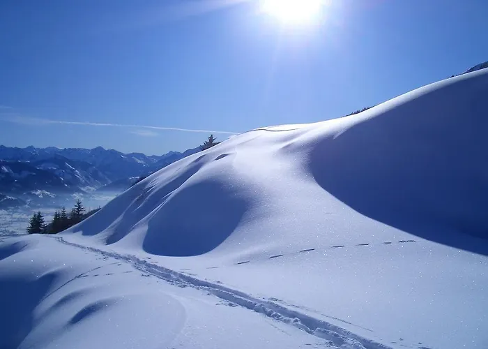 Bio-bergbauernhof Hubgut 滨湖采尔
